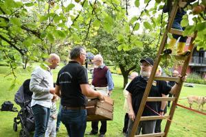 Apfelernte im Klostergarten 2023