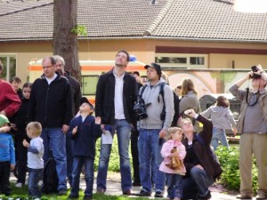 maifest_131