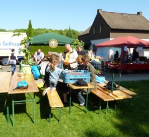 maifest_11_081
