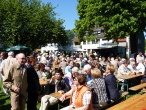 maifest_11_111