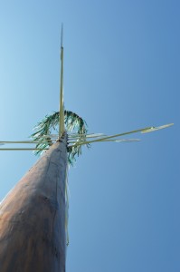 DSC_0160 (851x1280)