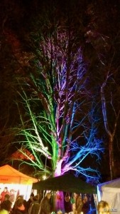 2015-12-05 Nikolausmarkt_HTC_023_LR (724x1280) 